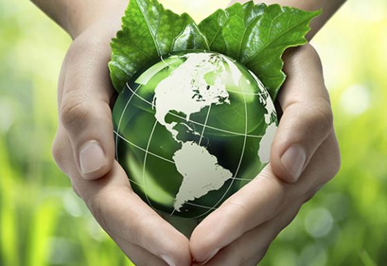 ASSISTÊNCIA AMBIENTAL