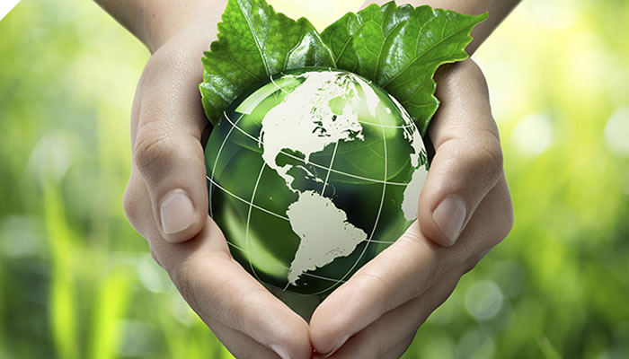 ASSISTÊNCIA AMBIENTAL