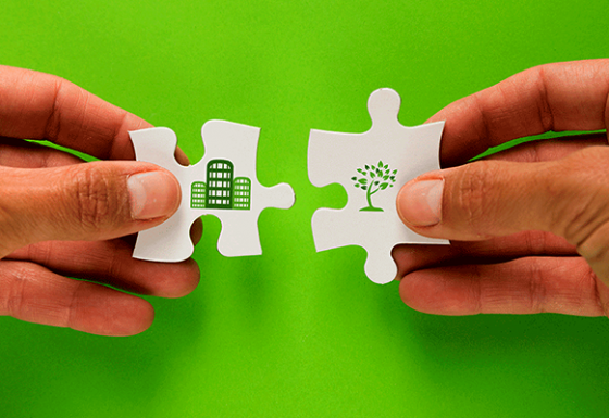 CONSULTORIA AMBIENTAL