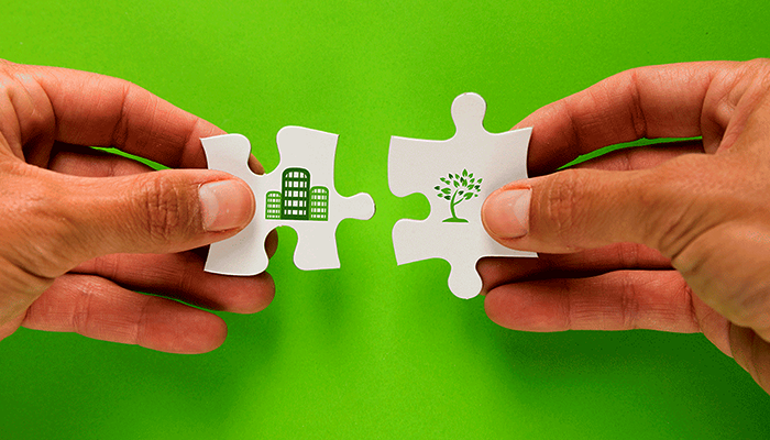 CONSULTORIA AMBIENTAL